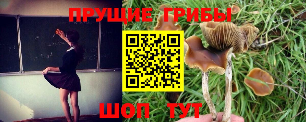 Гулькевичи  Псилоцибиновые грибы Magic Shrooms  Галлюциногенные грибы Cubensis  Вход с VPN 
